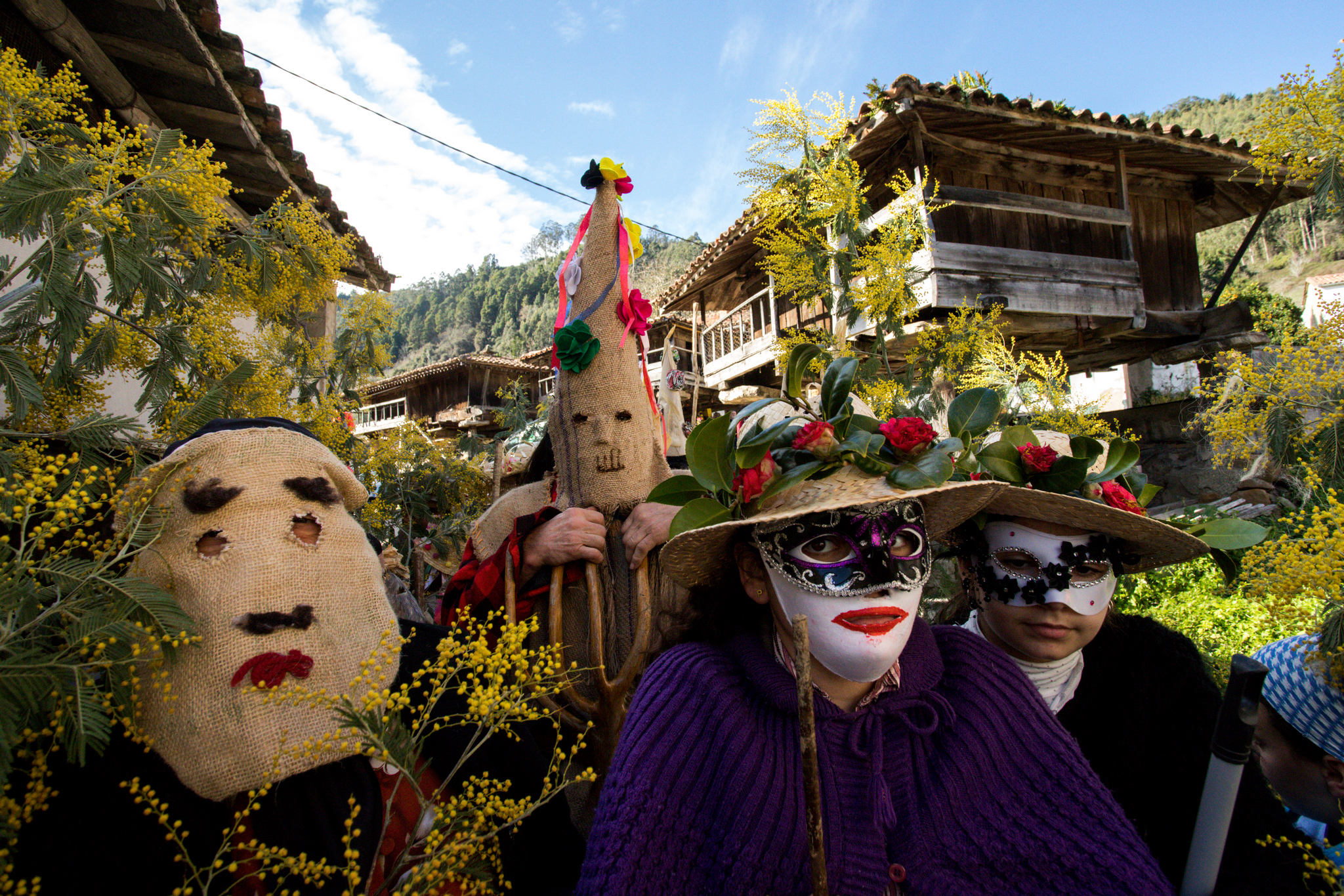 Fotografía sección Llamaellos